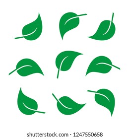 Leaves icon vector set. Green leaves of trees and plants isolated on white background. Vector elements for eco and bio logos.