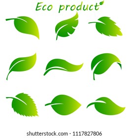 Leaves icon vector set isolated on white background. Various shapes of green leaves of trees and plants. Elements for eco and bio logos.