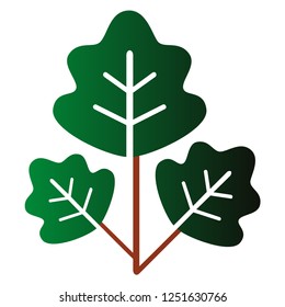 Leaves icon vector set isolated on white background, leaves flat design
