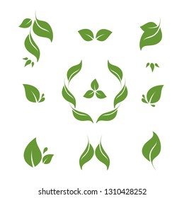 Leaves icon vector set isolated on white background. Various shapes of green leaves of trees and plants. Elements for eco and bio logos.