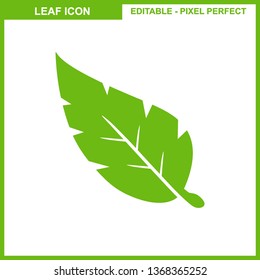 Leaves icon vector set isolated on white background. Various shapes of leaves of trees and plants. Elements for eco and bio logos. - Vector
