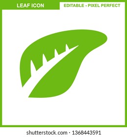 Leaves icon vector set isolated on white background. Various shapes of leaves of trees and plants. Elements for eco and bio logos. - Vector
