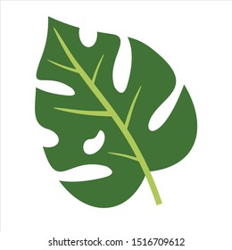 Leaves icon vector set isolated on white background. Various shapes of green leaves of trees and plants.