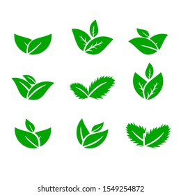 Leaves icon vector set isolated on white background. Various shapes of green leaves of trees and plants. Elements for eco and bio logos.