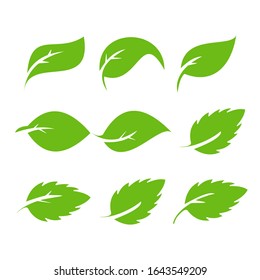 Leaves Icon Vector Set Isolated On Stock Vector (Royalty Free) 1643549209