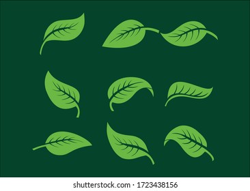 Leaves icon,  vector set isolated on background. Various shapes of green leaves, Elements for eco and bio logos