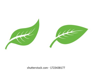 Bleisymbol, Vektorgrafik einzeln auf Hintergrund. Verschiedene Formen von grünen Blättern, Elemente für Öko- und Biologos
