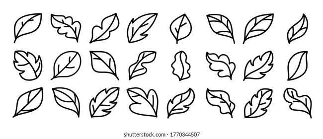 Leaves icon vector set isolated on white background. leaf logo design element.