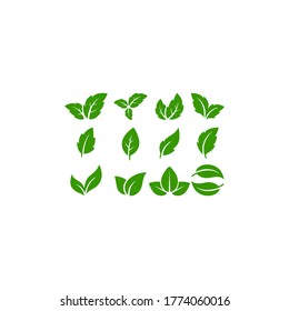 Leaves icon vector set isolated on white background. Various shapes of green leaves of trees and plants. Elements for eco and bio logos.