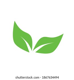 Deja el vector de icono aislado en el fondo blanco. dos formas de hojas verdes o plantas. Elementos para logotipos ecológicos y biológicos.