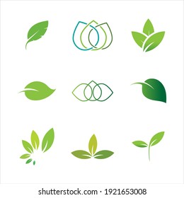 Bleibt Symbol, Vektorgrafik einzeln auf weißem Hintergrund. Verschiedene Formen von grünen Blättern von Bäumen und Pflanzen. Elemente für Öko- und Biologos.