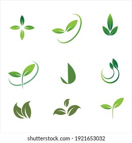 Leaves icon vector set isolated on white background. Various shapes of green leaves of trees and plants. Elements for eco and bio logos.