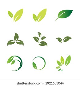 Leaves icon vector set isolated on white background. Various shapes of green leaves of trees and plants. Elements for eco and bio logos.
