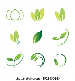 Leaves icon vector set isolated on white background. Various shapes of green leaves of trees and plants. Elements for eco and bio logos.