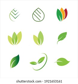 Leaves icon vector set isolated on white background. Various shapes of green leaves of trees and plants. Elements for eco and bio logos.