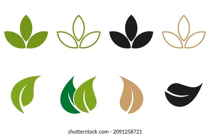 Leaves icon vector set isolated on white background. Various shapes of green leaves