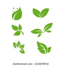 Leaves icon vector set isolated on white background. Various shapes of green leaves of trees and plants. Elements for eco and bio logos.