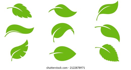 Leaves icon vector set isolated on a white background. Various shapes of green leaves of trees and plants. Elements para eco y bio logo.