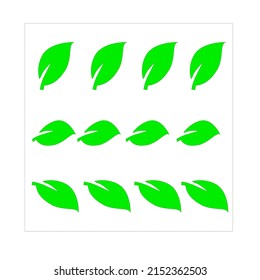 Leaves icon vector set isolated on a white background. Various shapes of green leaves of trees and plants. Elements para eco y bio logo. green color