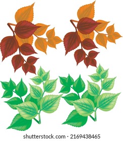 Leaves icon vector set isolated on white background. Various shapes of green leaves of trees and plants.This can use for decoration.