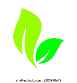 Leaves icon vector set isolated on white background. Various shapes of green leaves of trees and plants