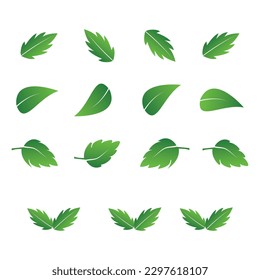 Leaves icon vector set isolated on white background. Eco green color leaf vector logo flat icon set. Green Leaves Set Vector Logo Template Illustration Design. Set of isolated green leaves icons.