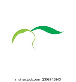 Leaves icon vector set isolated on white background. Various shapes of green leaves of trees and plants. Elements for eco and bio logos.