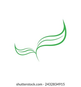 Leaves icon vector set isolated on white background. Various shapes of green leaves of trees and plants. Elements for eco and bio logos.

