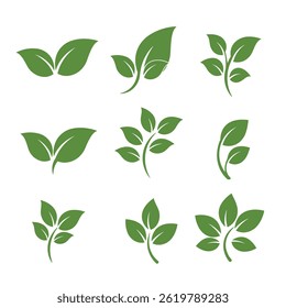 Leaves icon vector set isolated on white background. Various shapes of green leaves of trees and plants. Set of isolated green leaves icons on white background.