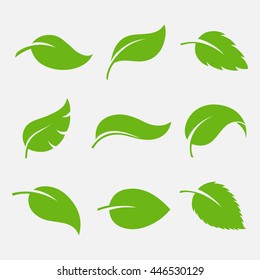 Leaves icon vector set isolated on white background. Various shapes of green leaves of trees and plants. Elements for eco and bio logos.  - Shutterstock ID 446530129
