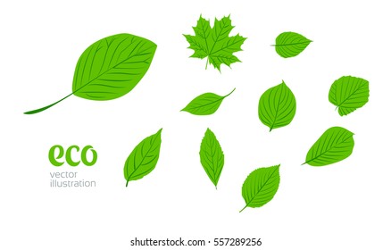 Leaves icon vector set isolated on white background. Various shapes of green leaves of trees and plants. Elements for eco and bio logos.