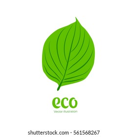 Leaves icon vector set isolated on white background. Various shapes of green leaves of trees and plants. Elements for eco and bio logos