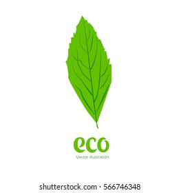 Leaves icon vector set isolated on white background. Various shapes of green leaves of trees and plants. Elements for eco and bio logos