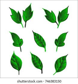 Leaves icon vector set isolated on white background. Various shapes of green leaves of trees and plants. Elements for eco and bio logo.