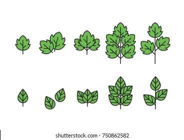 Leaves icon vector set isolated on white background. Various shapes of green leaves of trees and plants. Elements for eco and bio logos.