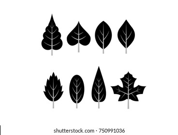 Leaves icon vector set isolated on white background. Various shapes of green leaves of trees and plants. Elements for eco and bio logos.