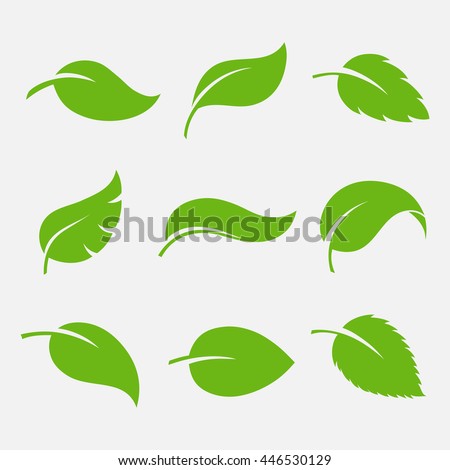 Leaves icon vector set isolated on white background. Various shapes of green leaves of trees and plants. Elements for eco and bio logos.  Foto stock © 