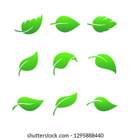 Leaves icon vector set on white background. Various shapes of green leaves of trees and plants. Elements for eco and bio logos. Symbol of nature and health