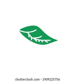 Leaves icon vector. Various shapes of green leaves trees and plants. Elements for eco green and summer tropical paradise advertising design vacation