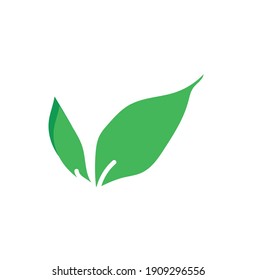 Leaves icon vector. Various shapes of green leaves trees and plants. Elements for eco green and summer tropical paradise advertising design vacation