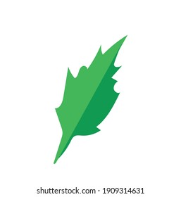 Leaves icon vector. Various shapes of green leaves trees and plants. Elements for eco green and summer tropical paradise advertising design vacation