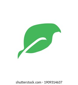 Leaves icon vector. Various shapes of green leaves trees and plants. Elements for eco green and summer tropical paradise advertising design vacation