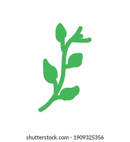 Leaves icon vector. Various shapes of green leaves trees and plants. Elements for eco green and summer tropical paradise advertising design vacation