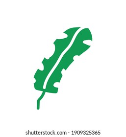 Leaves icon vector. Various shapes of green leaves trees and plants. Elements for eco green and summer tropical paradise advertising design vacation