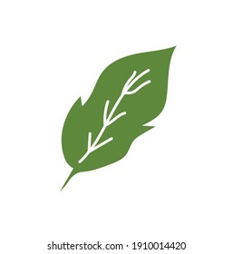 Deja el vector de icono. Varias formas de hojas verdes, árboles y plantas. Elementos para el diseño de publicidad ecológica, verde y veraniega del paraíso tropical vacaciones de publicidad