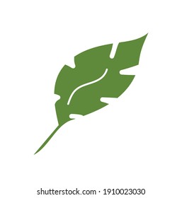 Leaves icon vector. Various shapes of green leaves trees and plants. Elements for eco green and summer tropical paradise advertising design vacation