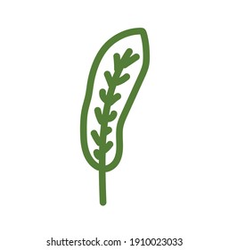 Leaves icon vector. Various shapes of green leaves trees and plants. Elements for eco green and summer tropical paradise advertising design vacation