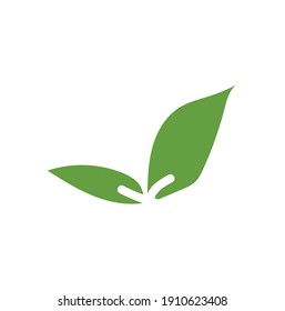 Leaves icon vector. Various shapes of green leaves trees and plants. Elements for eco green and summer tropical paradise advertising design vacation