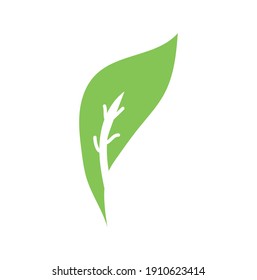 Leaves icon vector. Various shapes of green leaves trees and plants. Elements for eco green and summer tropical paradise advertising design vacation