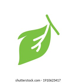 Deja el vector de icono. Varias formas de hojas verdes, árboles y plantas. Elementos para el diseño de publicidad ecológica, verde y veraniega del paraíso tropical vacaciones de publicidad